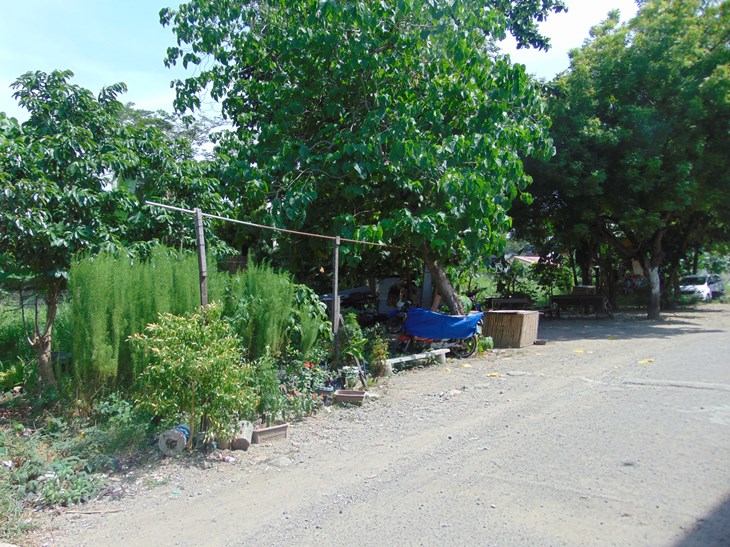 commercial-lot-located-in-talamban-cebu-city